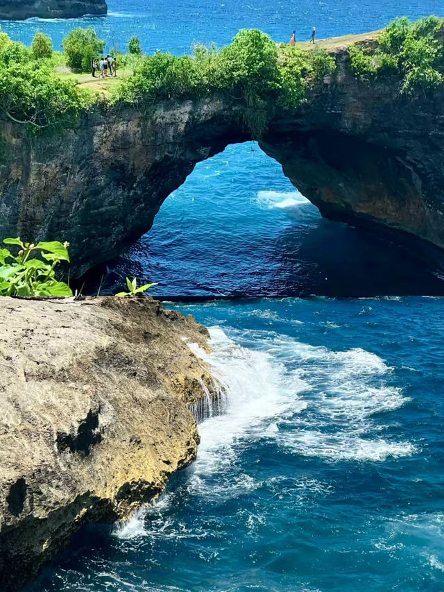 佩尼達和藍夢島該怎麼選？看完不糾結