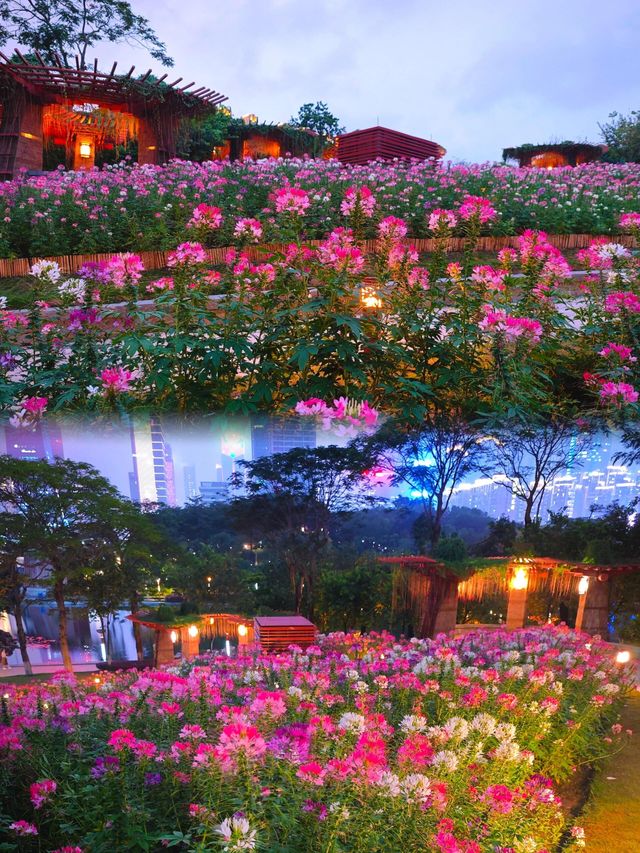 闖進莫奈花園的仲夏夜之夢