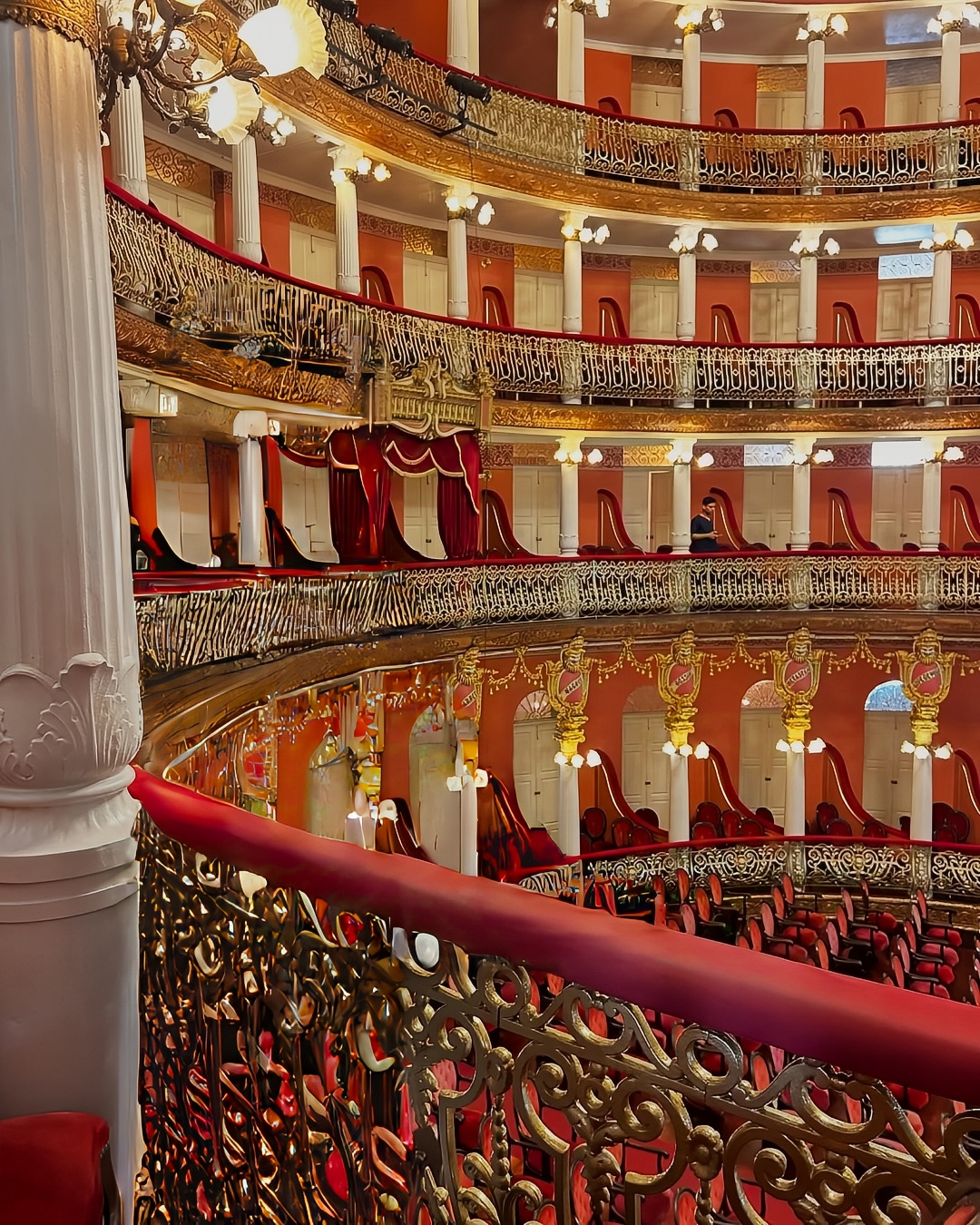 5 days of walking in Manaus, the heart of the Amazon, 30 bloody experiences that subvert your imagination