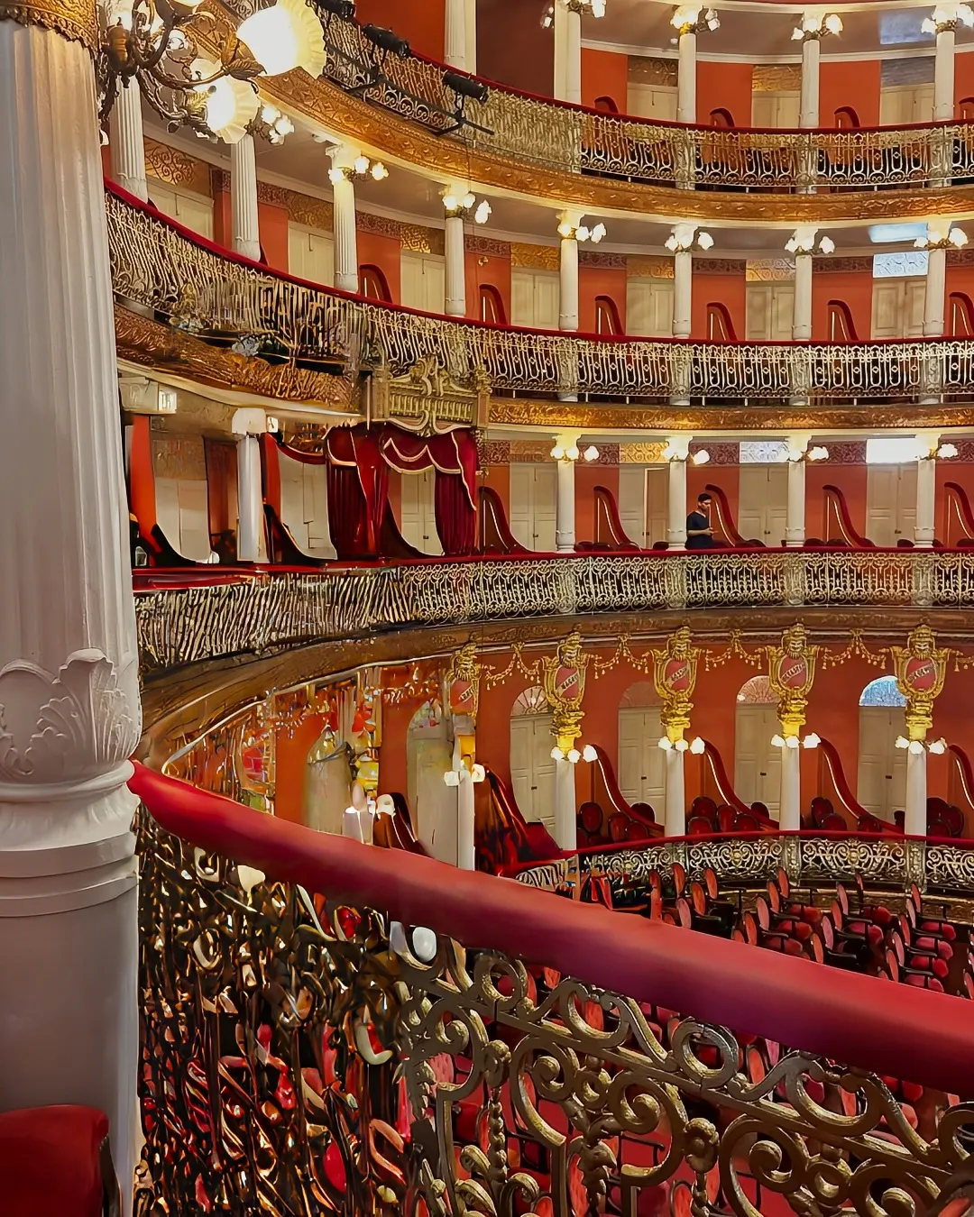 5 days of walking in Manaus, the heart of the Amazon, 30 bloody experiences that subvert your imagination