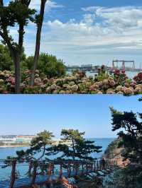蔚山｜解鎖韓國小眾寶藏的夢幻之旅