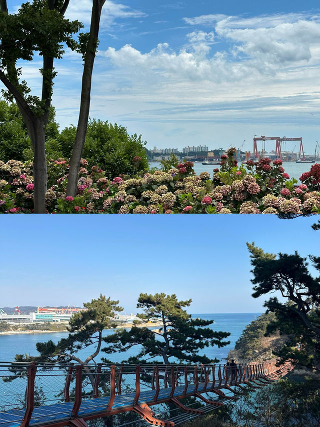 蔚山｜解鎖韓國小眾寶藏的夢幻之旅