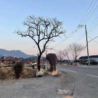 韓國密陽市深度遊後筆記：被嚴重低估的小眾寶藏地