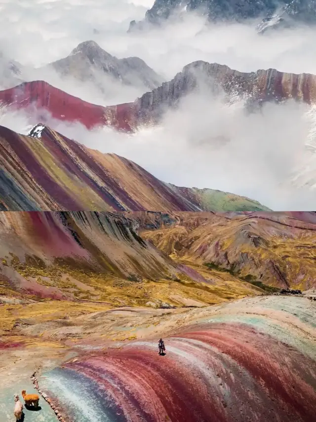 Rainbows aren't just in the sky, sometimes they're on the ground.