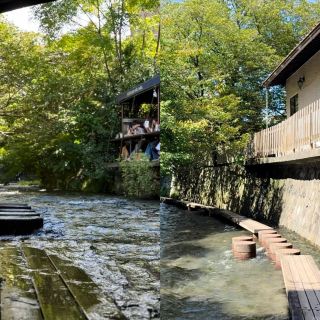 Mishima City Travel Guide: Unlock Hidden Gems