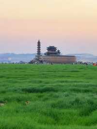 春日已綠鄱陽湖草海，美到窒息嘅仙境