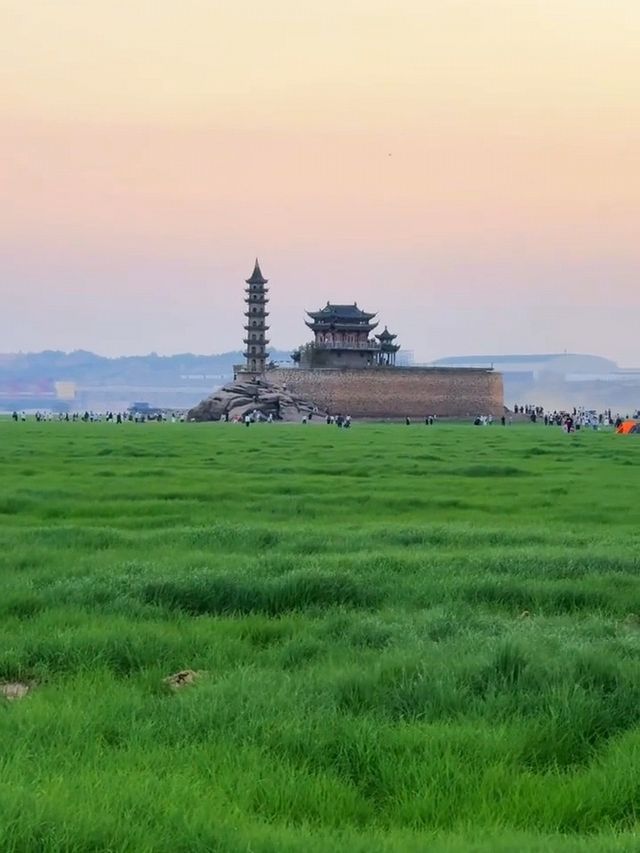春日已綠鄱陽湖草海，美到窒息嘅仙境