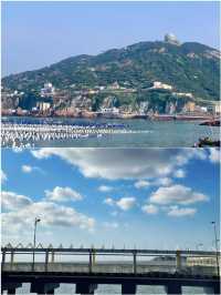 話雖難聽，但這就是舟山現狀…