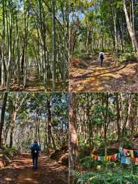 寧波：地鐵直達這條「野路子」！