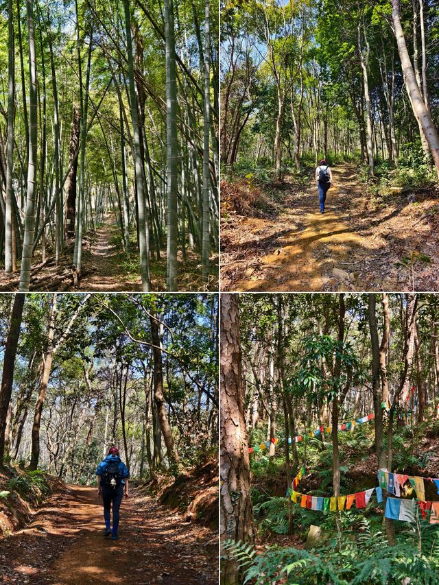 寧波：地鐵直達這條「野路子」！