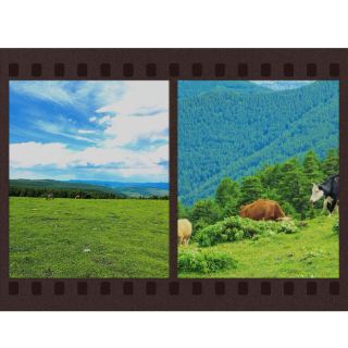 Moved to Tears by Luya Mountain! A Must-Visit Hidden Gem
