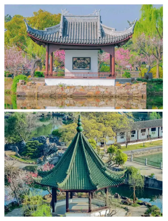 Stop limiting yourself to the Suzhou gardens. The beauty of Lihu Garden in Wuxi left me speechless.