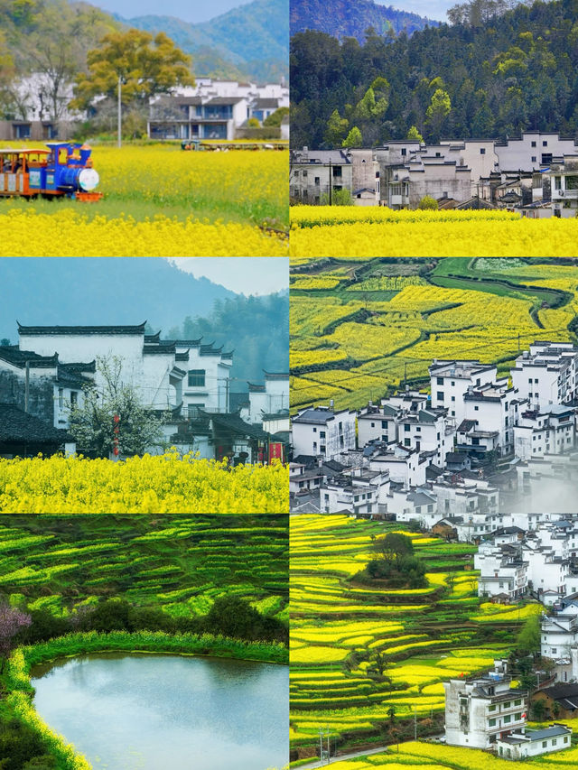 剛從婺源回來，說點大實話！保姆級旅遊攻略
