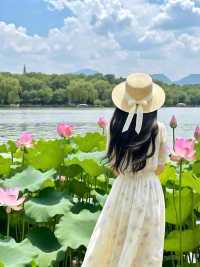 杭州賞荷攻略|一鍵解鎖江南限定浪漫！