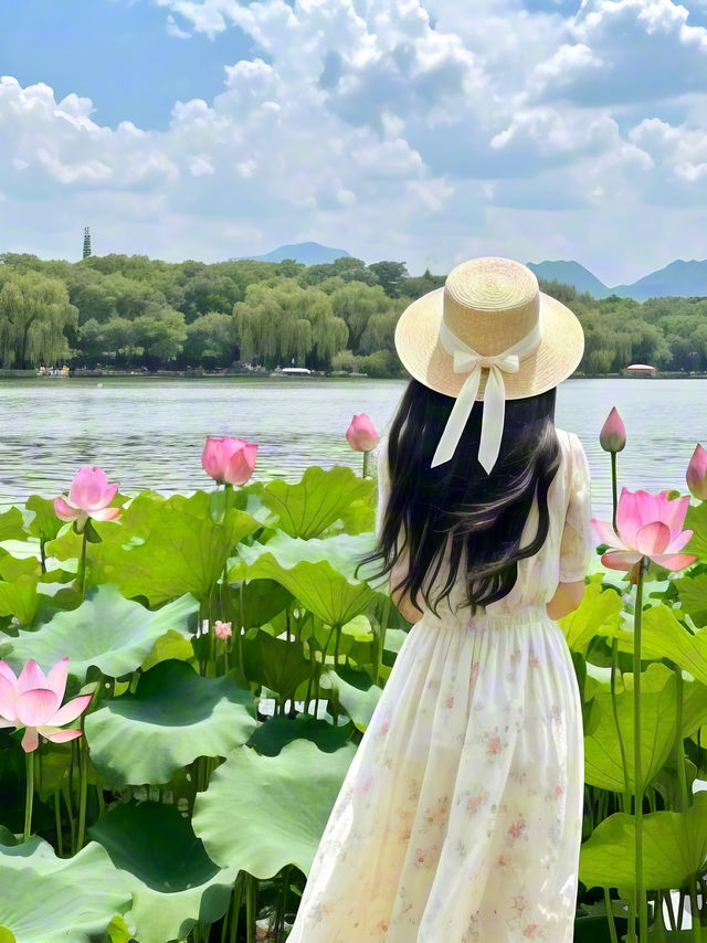 杭州賞荷攻略|一鍵解鎖江南限定浪漫！