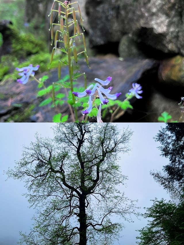 避世千年古寨秘境｜白銀谷坑根石寨遊玩攻略