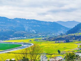 Great places to view flowers around Chongqing!