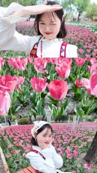 鄭州鬱金香