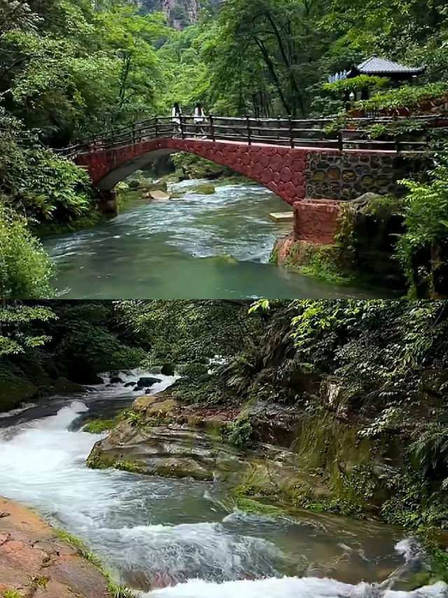 張家界已回,真不建議4-5月去,因為.. 張家界已回,真不建議4-5月去,因為..