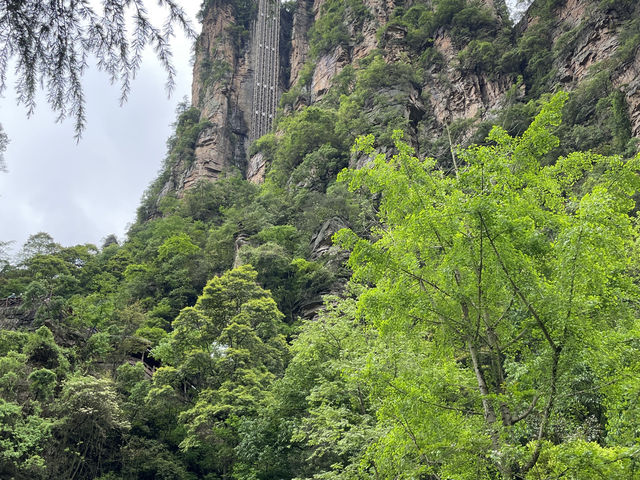 探秘張家界百龍天梯，震撼人心的垂直奇旅