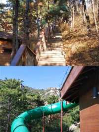 北京小樹屋，小朋友們的天地