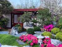 🌺 維多利亞公園花卉展：悠閒賞花的好去處
