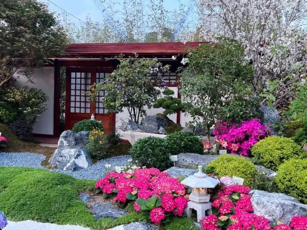 🌺 維多利亞公園花卉展：悠閒賞花的好去處