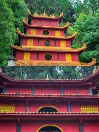 高鐵直達，反向旅遊川東北寶藏小城