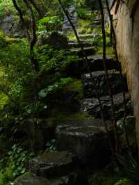 臨安潛川 | 雨天好適合躺在山裡