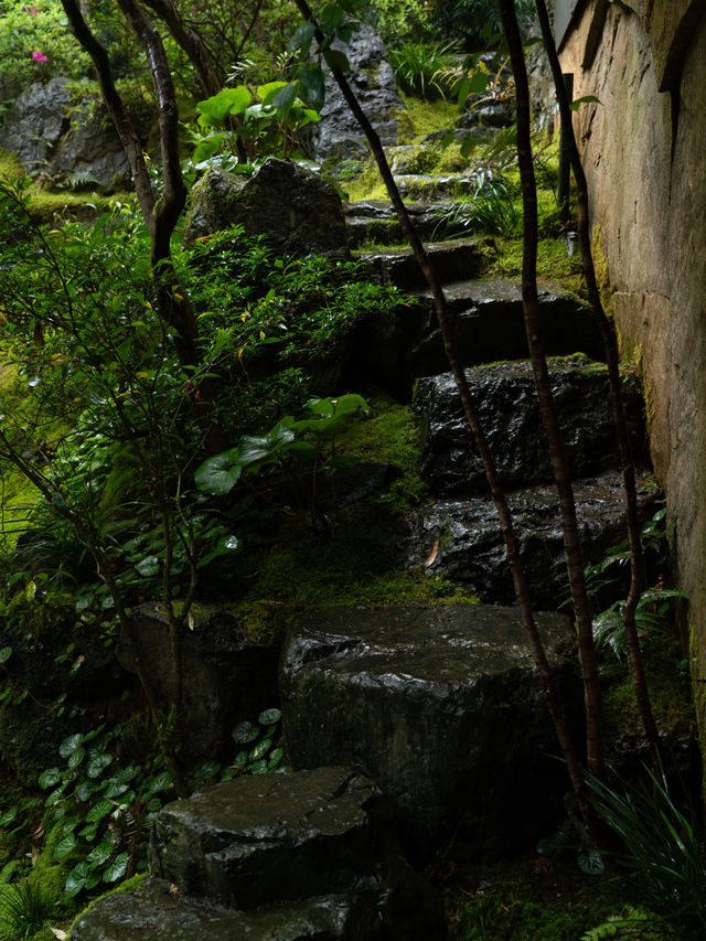 臨安潛川 | 雨天好適合躺在山裡