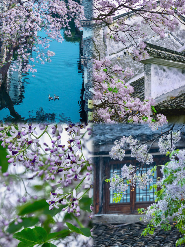 【紹興——水墨江南嘅慢時光】