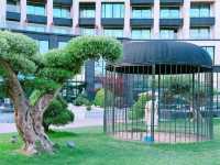 入住上海阿納迪，解鎖都市養生新姿勢