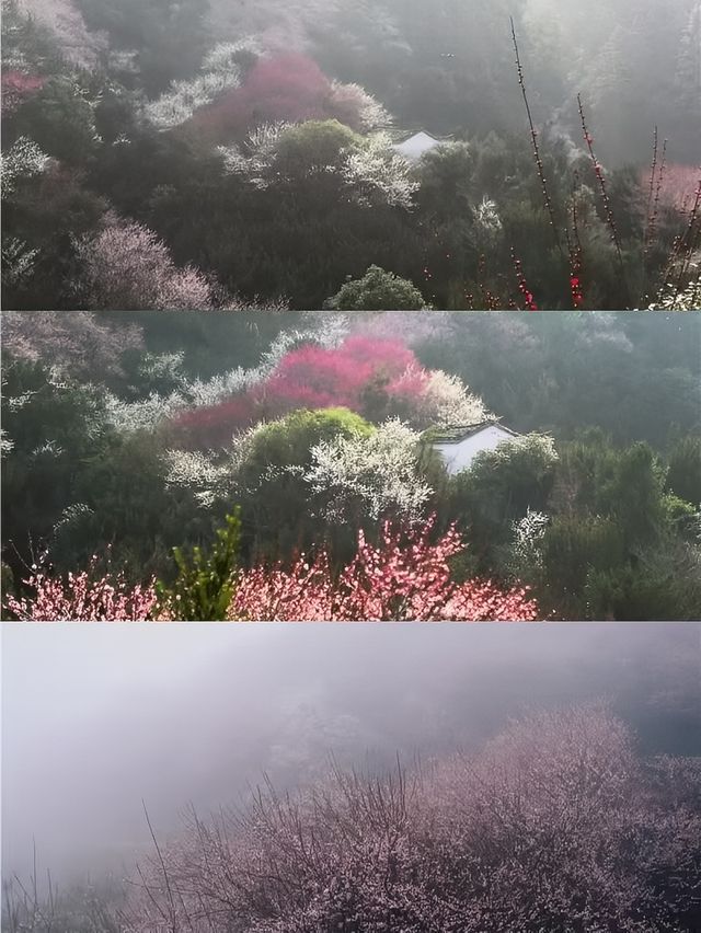 解鎖江南徽州，穿越四季嘅絕美之旅