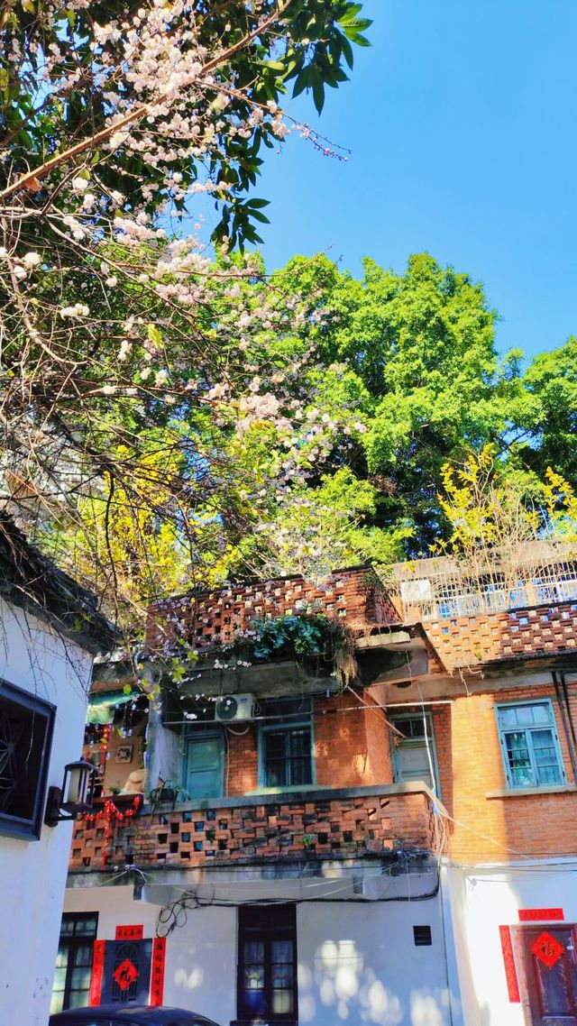 《中山路有咩好玩？》