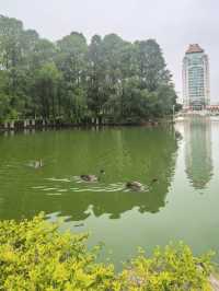 廈門大學！海邊療癒的讀書聖地！