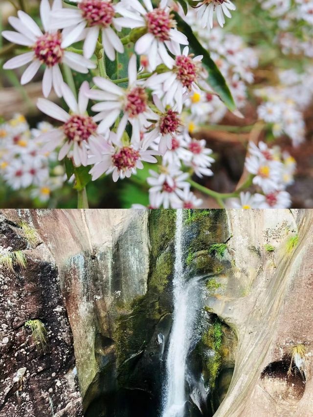 探索福建寧德：白雲山九龍洞國的神秘傳說