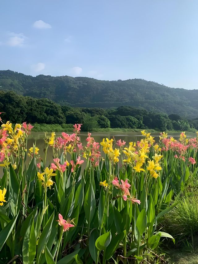 標題：從化秘境｜闖入宮崎駿嘅夏日稻香童話