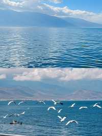 邂逅洱海湖光雲影間嘅夢幻綺旅