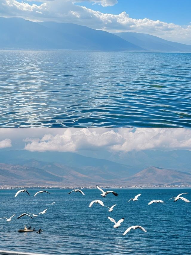 邂逅洱海湖光雲影間嘅夢幻綺旅