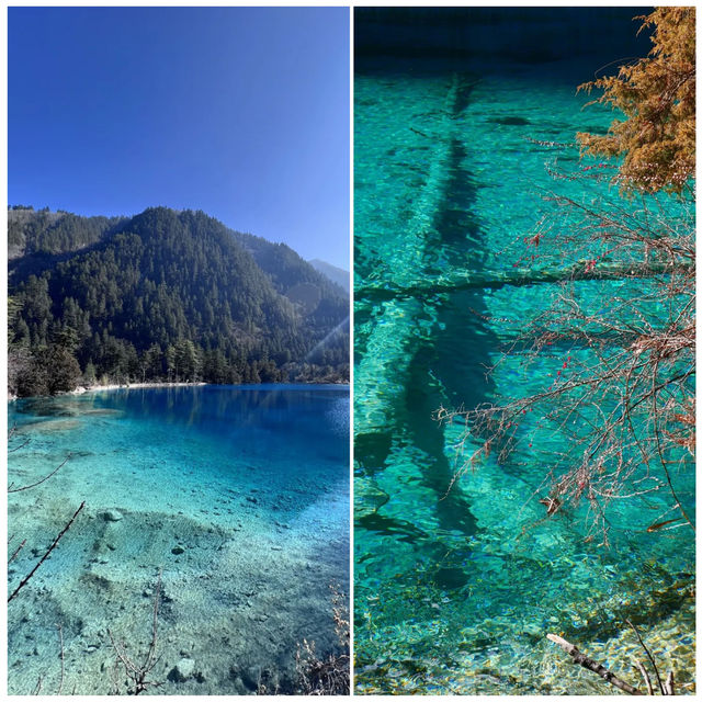 九寨溝的初夏：這才是仙境應有的模樣