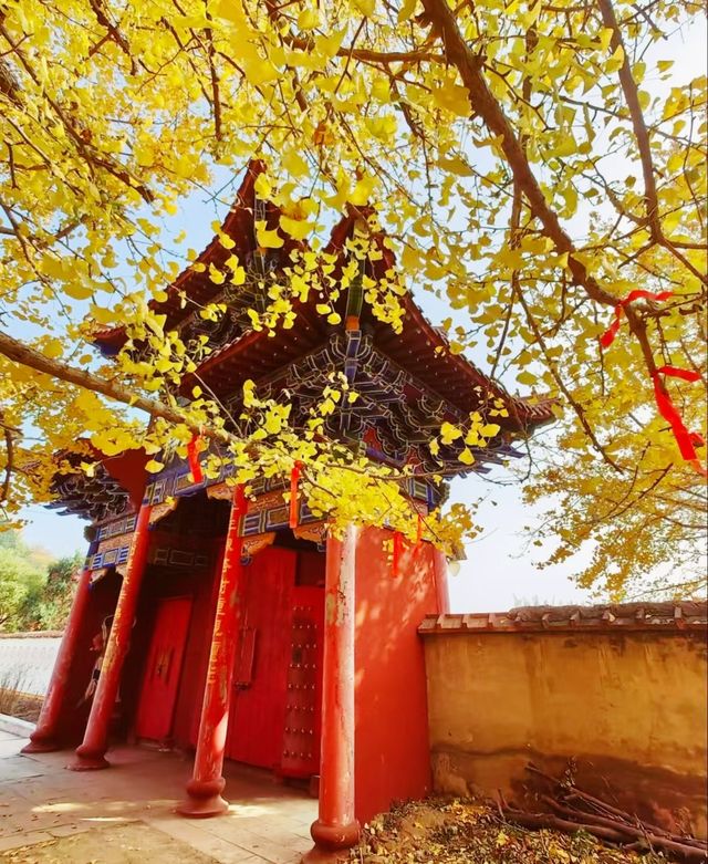 唐山遵化禪林寺古銀杏風景園參觀攻略