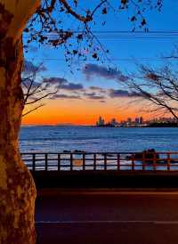 【520限定浪漫｜青島，在風與海的詩篇裡告白】