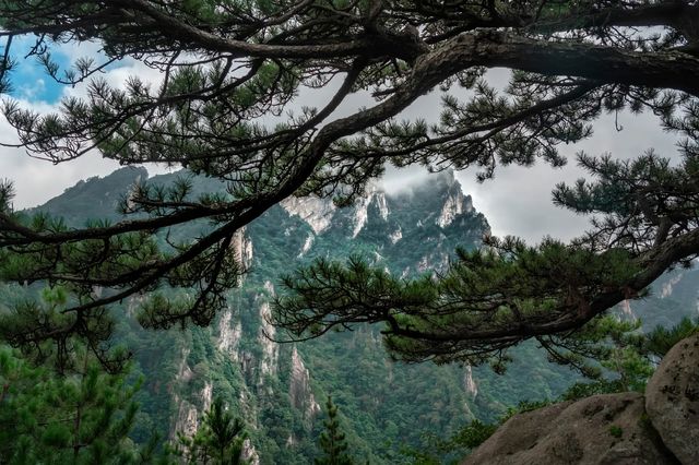 南陽老界嶺——橫亙中原嘅生態與文化地標