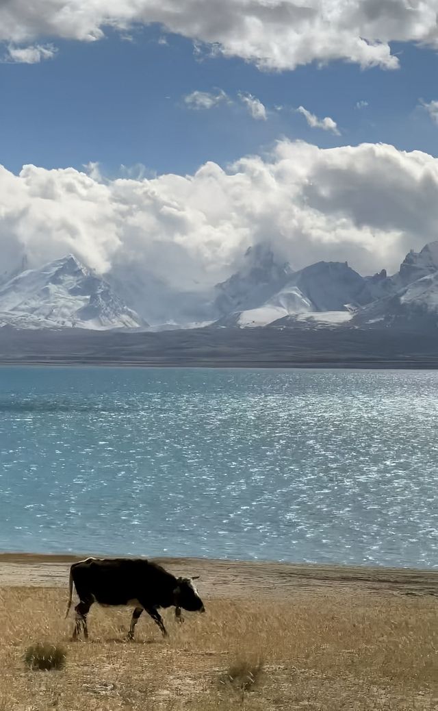 聖湖佩枯錯