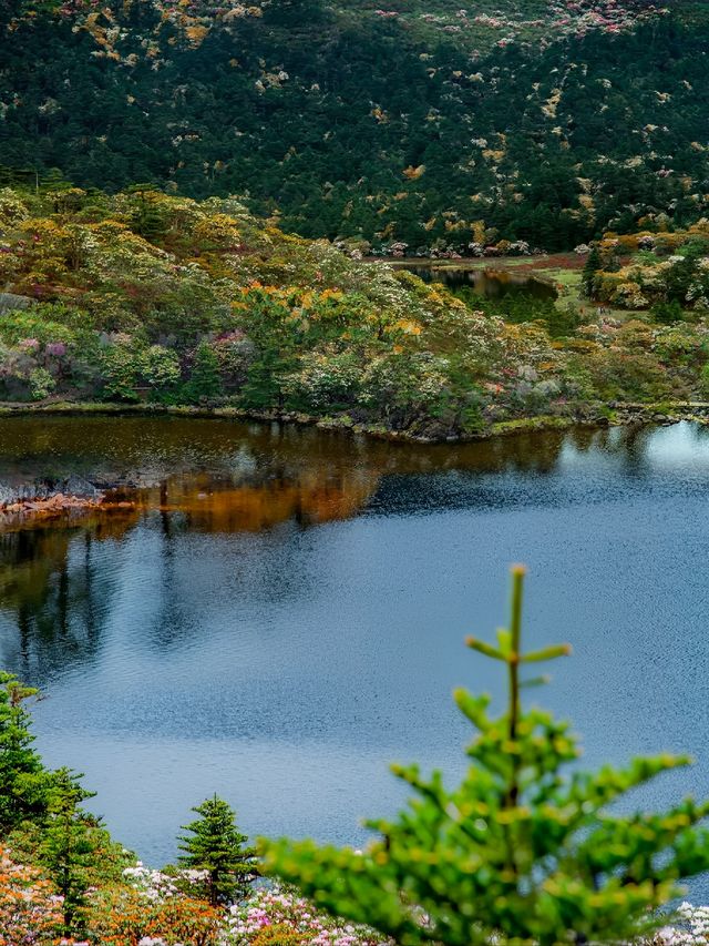 邂逅六朝古都