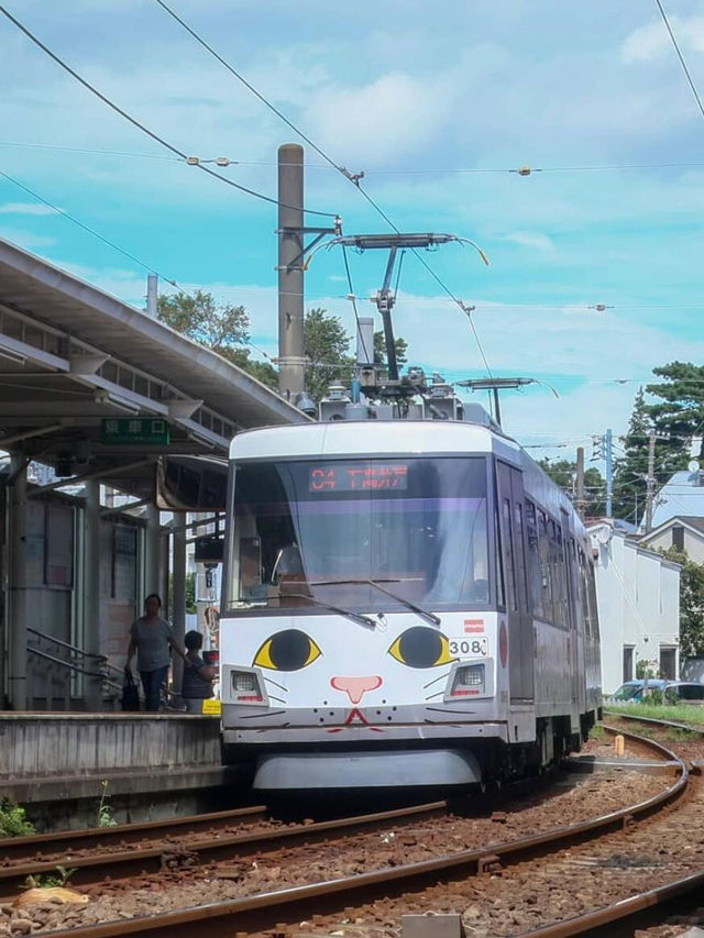 🚃東京必打卡！通往幸福的招財貓電車🚃