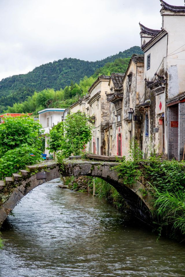 芹川古鎮｜藏了700年的江南淚