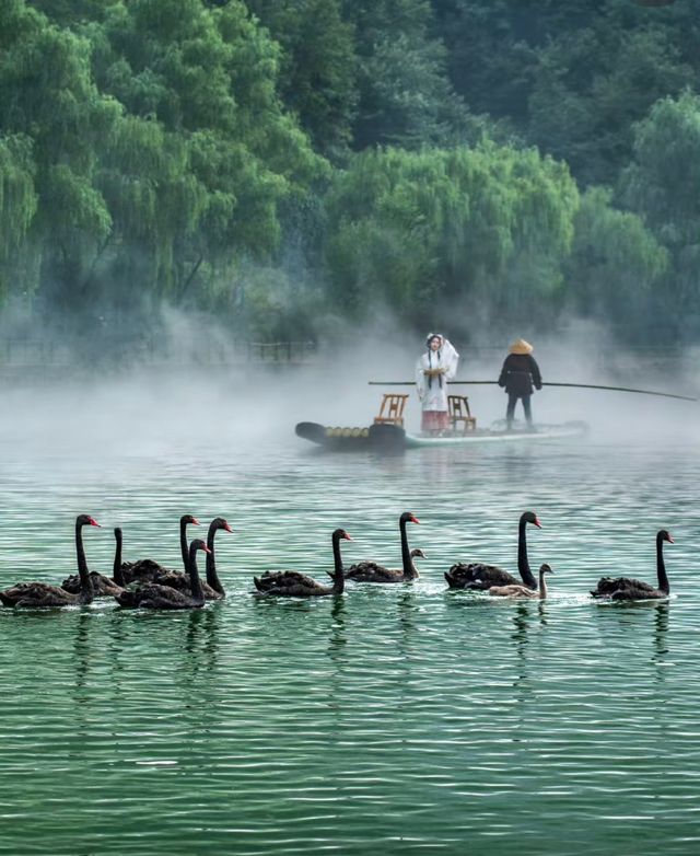 洛陽周邊小眾秘境 |王府竹海:現實仙境