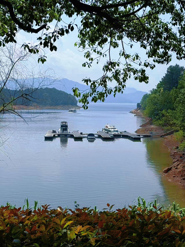 吸氧江浙滬Staycation躺平遛娃住進畫裏吸氧吧