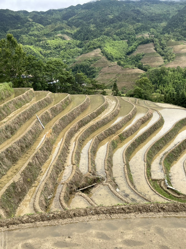 Longsheng 4 Days Travel Guide 
